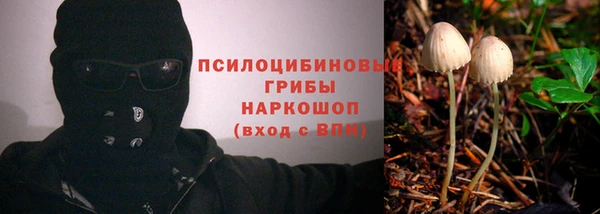 метамфетамин Белокуриха